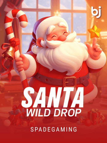 Santa Wild Drop game cover